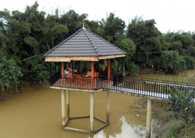 Khu nghỉ dưỡng 2,7 ha biệt thự suối bao quanh Cách trung tâm Bảo Lộc 9km