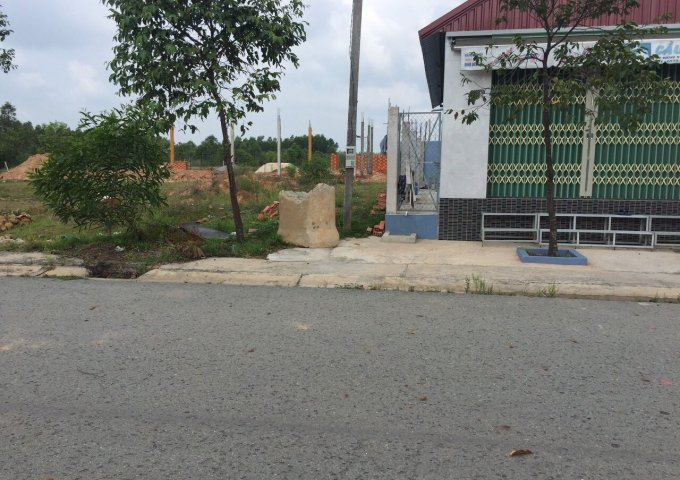 Gia Đình Tôi về Bình Định cần sang nhượng lại 1260m2 đất ngay cổng Trường, Dân cư đông đúc.