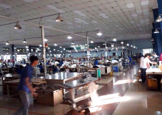 Chính chủ gửi bán Chủ Gửi Bán xưởng May Mạnh Tiến ,Tân Thới Nhất Q12  aCE môi giới giúp đỡ