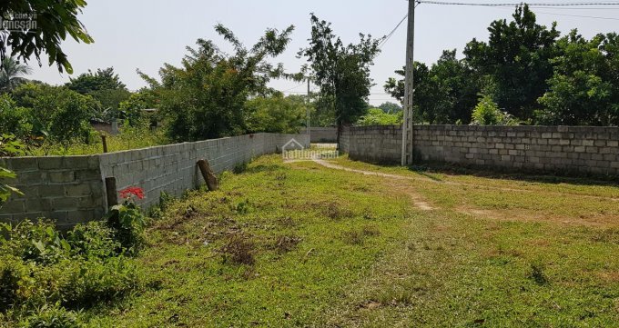 Cần bán nhanh mảnh đất làm trang trại nhà vườn Nhuận Trạch, Lương Sơn 