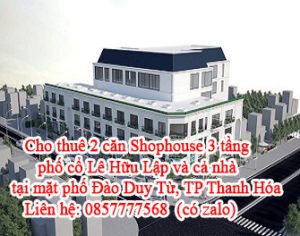 Cho thuê 2 căn Shophouse 3 tầng phố cổ Lê Hữu Lập và cả nhà tại mặt phố Đào Duy Từ, TP Thanh Hóa