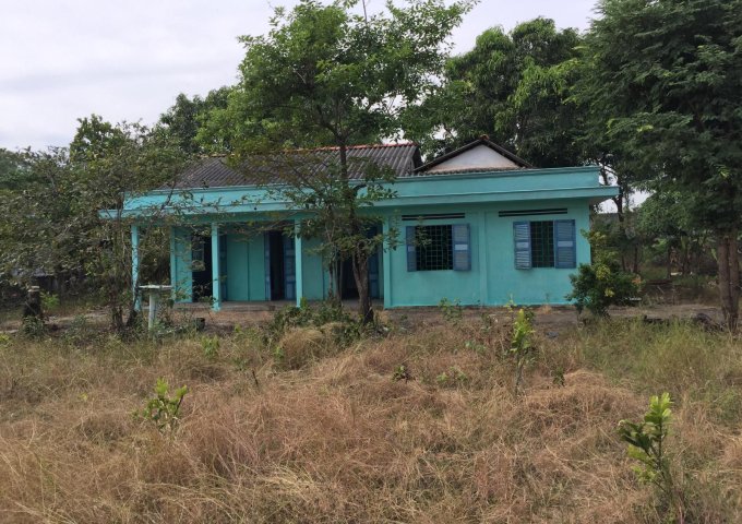 Bán nhà riêng tại Xã Long Hiệp, Bến Lức,  Long An diện tích 1,700m2  giá 6 Tỷ