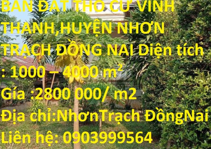 Bán đất thổ cư Vĩnh Thanh,Huyện Nhơn Trạch Đồng Nai