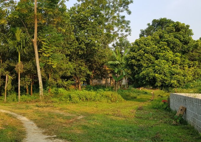 Bán gấp 2 lô đất trang trại nhà vườn nghỉ dưỡng liền kề tại Lương Sơn,Hòa Bình