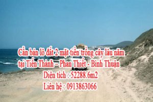 Cần bán lô đất 2 mặt tiền trồng cây lâu năm Tiến Thành – Phan Thiết - Bình Thuận lh : 0913863066