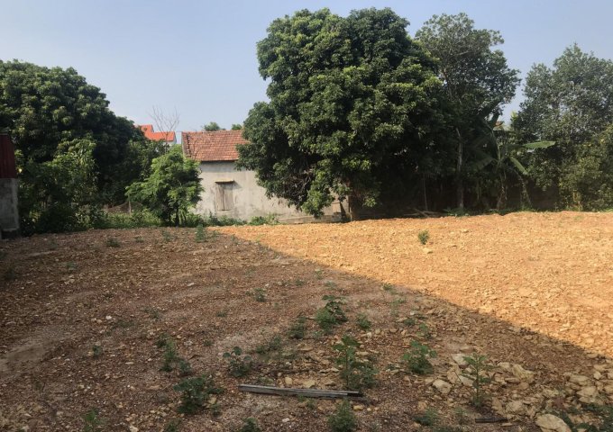 Bán đất xây biệt thự, nhà vườn ngay phường Bắc Nghĩa gần Hà Huy Tập 0917433553