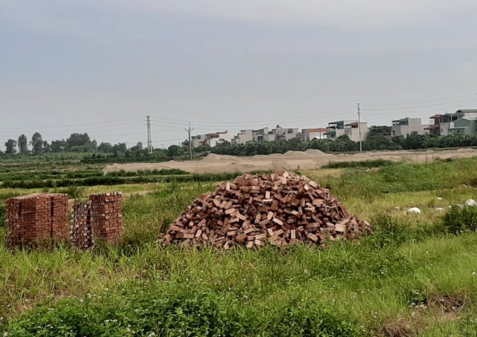 Bán đất tại Xã Vĩnh Hồng, Bình Giang,  Hải Dương