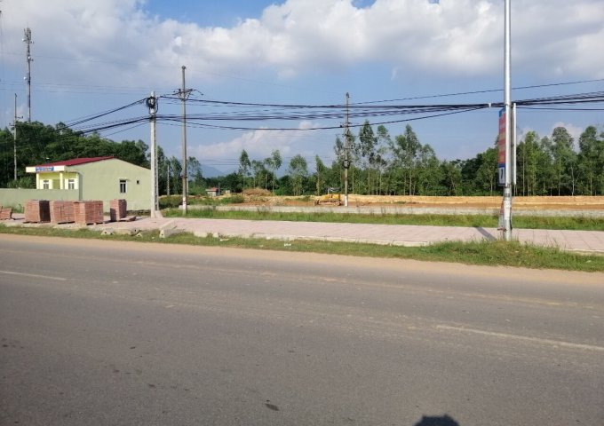 Bán đất nền dự án tại Xã Đạo Tú, Tam Dương,  Vĩnh Phúc diện tích 100m2  giá 15 Triệu/m²