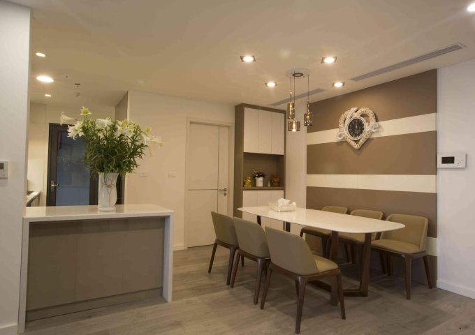 Cho thuê căn hộ chung cư tại Dự án Hapulico Complex, Thanh Xuân,  Hà Nội diện tích 90m2  giá 11 Triệu/tháng