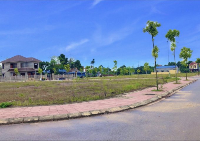 Bán đất nền dự án tại Dự án Khu đô thị Thiên Lộc, Sông Công,  Thái Nguyên diện tích 100m2  giá 550 Triệu