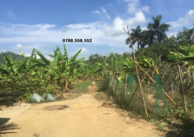bán đất 93.000m2 xã Khánh Phú, Khánh Vĩnh có sẵn vườn và nhà giá rẻ LH 0788.558.552