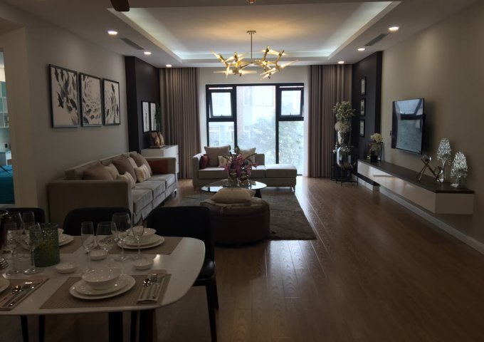 Chính chủ cần bán căn hộ 2PN 88m2, full nội thất chung cư Hanoi Paragon
