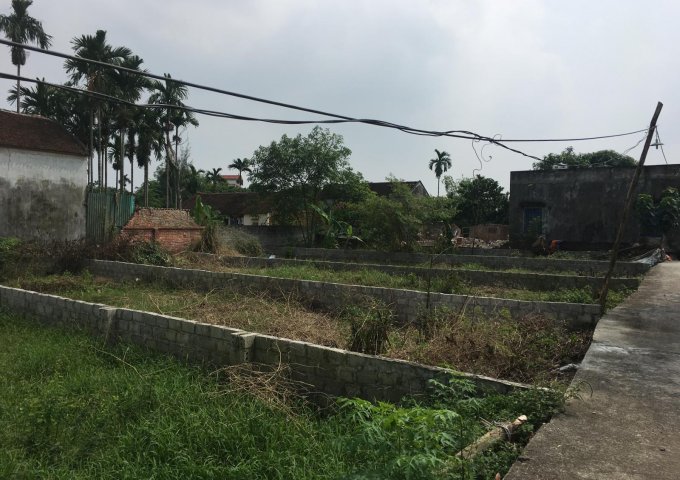 Bán đất tại Xã Phú Cát, Quốc Oai,  Hà Nội diện tích 130m2  giá 4.2 Triệu/m²