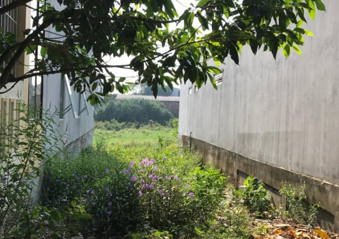 Bán đất tại Phường 5, Đông Hà,  Quảng Trị diện tích 242m2