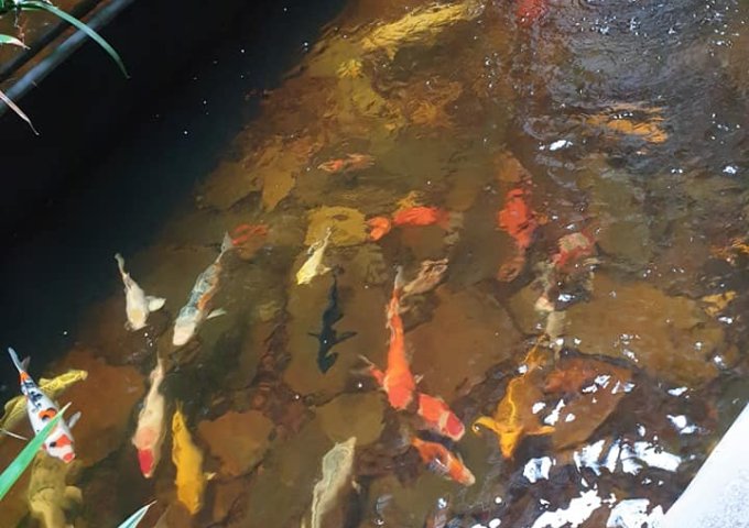 Bán nhà MP Nguyễn Khắc Nhu, 60m2, 4 tầng, lô góc, mt 5m, nở hậu, 22,5 tỷ