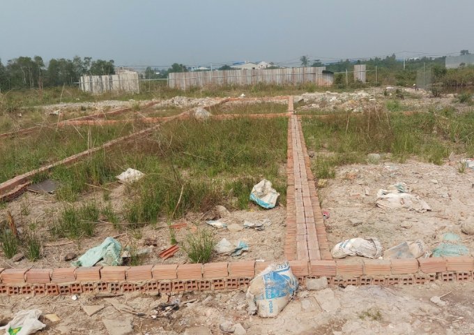 Cần bán lô đất vườn chính chủ ngay ấp 5 Vĩnh Lộc B - Bình Chánh