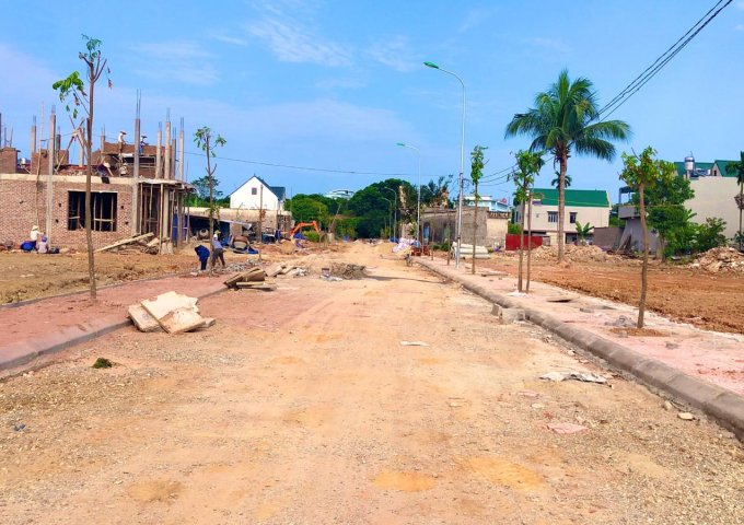 Bán đất nền dự án tại Dự án Khu đô thị Thiên Lộc, Sông Công,  Thái Nguyên diện tích 100m2  giá 550 Triệu 0964888010