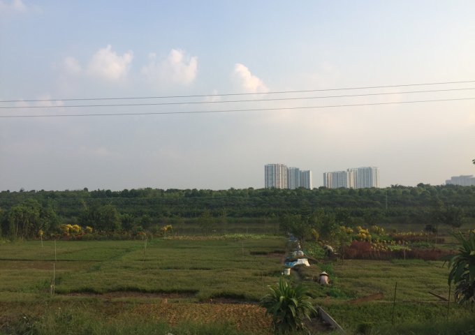Cho thuê nhà để ở, làm VP, nghỉ cuối tuần ... ở Văn Giang, Hưng Yên.