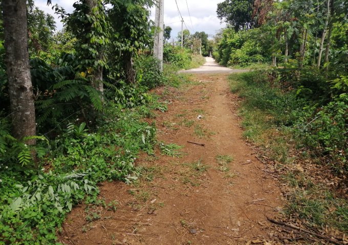 Bán đất tại Phường Cư Ebur, Buôn Ma Thuột,  Đắk Lắk diện tích 5,000m2  giá 300 Triệu
