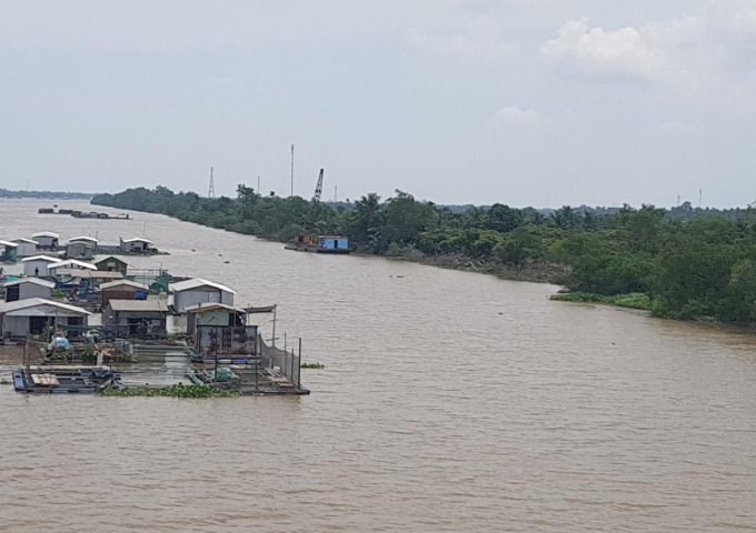 Tôi cần bán 8 công đất mặt tiền sông Ba Lai và đường xe 4m gần Chợ, trường học, xã Tam Phước, Bến Tre