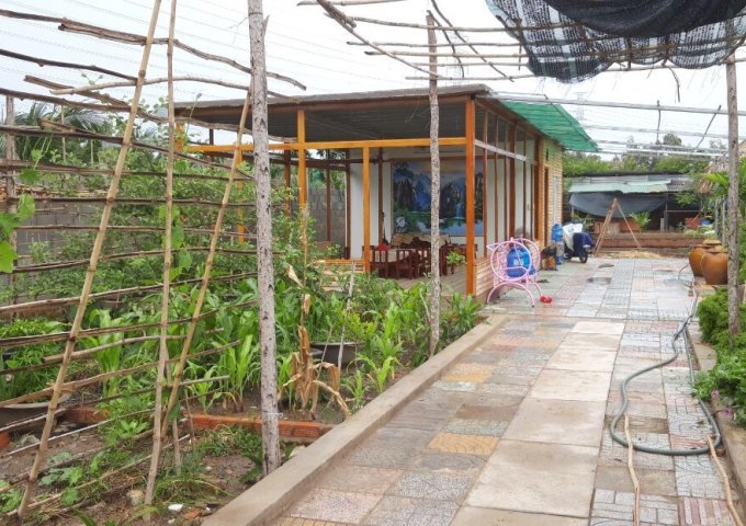 Bán nhà vườn ấp Sinh Thái cách chợ Hóc – Môn 10p chạy xe