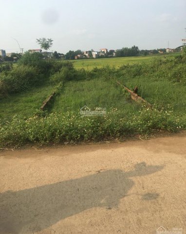 Chính chủ bán 110m2 đất giãn dân xã Bình Yên, Thạch Thất, Hà Nội