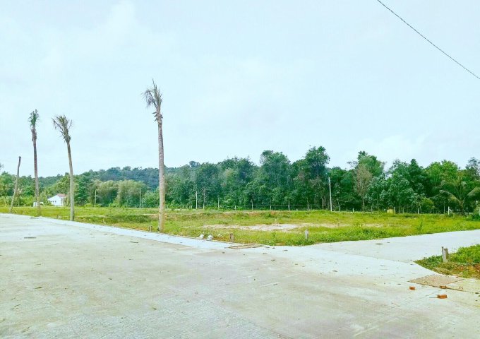 Bán đất tại Xã Dương Đông, Phú Quốc, Kiên Giang