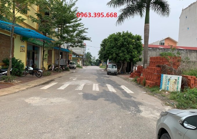 Bán đất dự án Dabaco thị trấn Hồ, Thuận Thành, Bắc Ninh giá tốt