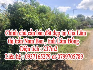 Chính chủ cần bán đất đẹp tại Gia Lâm, thị trấn Nam Ban, tỉnh Lâm Đồng
