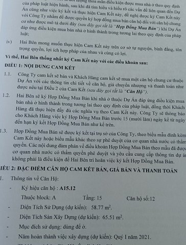 Sang nhượng căn hộ chung cư Conic Riverside Nguyễn Văn Linh, P.6, Q. 8, HCM