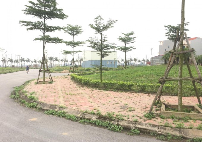 chính chủ bán lại lô đất 105m đối diện vườn hoa dự án new city phố nối hưng yên 
