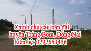 Chính chủ cần bán đất huyện Trảng Bom, Đồng Nai.