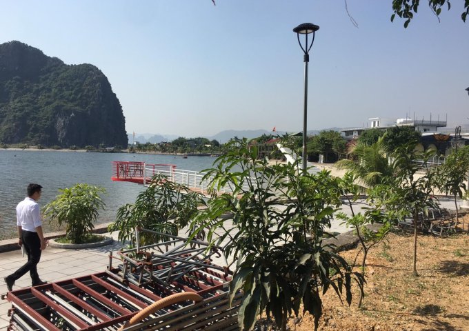 CĐT mở bán Dự án đất nền Santosa lớn nhẩt Cẩm Phả, Quảng Ninh view biển nhỉnh 1tỷ 0833703222