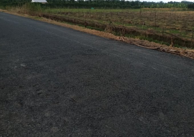 Bán đất tại Đường Quốc lộ 54, Tam Bình,  Vĩnh Long diện tích 2,500m2  giá 1.87 Tỷ