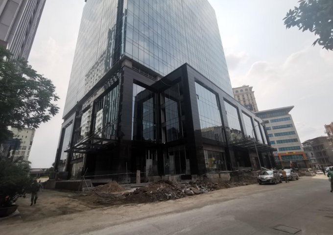 Cho thuê văn phòng tòa nhà Tân Hoàng Cầu diện tích từ 200 - 1.500 m2, giá 320 nghìn/m2/tháng