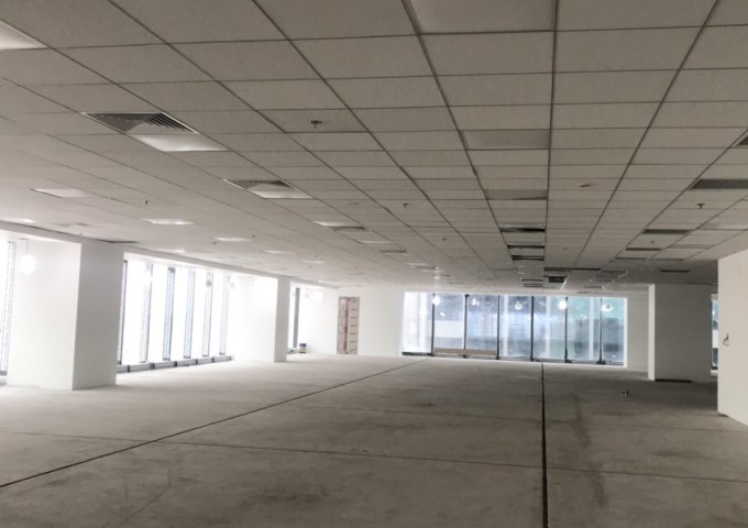 Cho thuê văn phòng tòa nhà Tân Hoàng Cầu diện tích từ 200 - 1.500 m2, giá 320 nghìn/m2/tháng