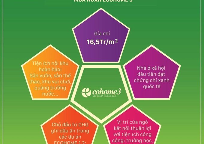 Ban quản lý dự án Ecohome3 thông báo tư vấn thông tin và tiếp nhận hồ sơ tòa N05