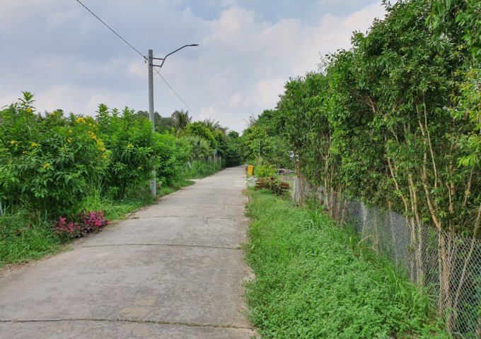 Bán 5000m² đất vườn đường Phù ly, Đông Bình -