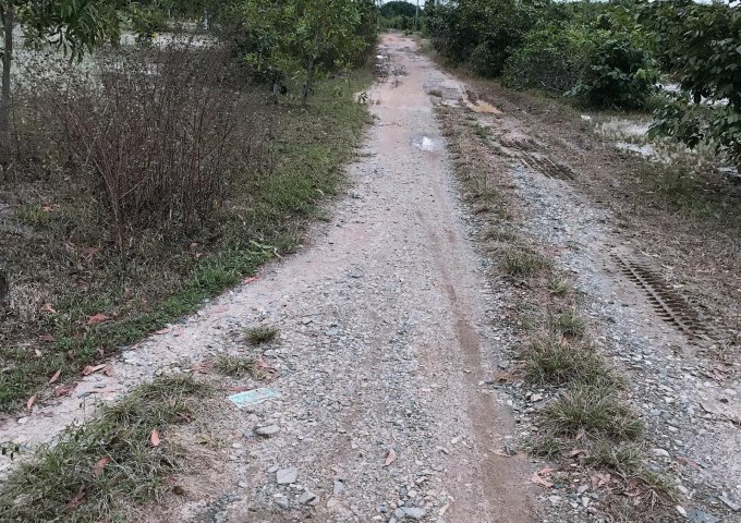 Bán gấp lô đất sào đẹp 3 mặt tiền gần khu vực Suối Dứa, Thị Xã Lagi, tỉnh Bình Thuận