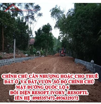 Chính chủ cần nhượng hoặc cho thuê đất ở và đất vườn ,sổ đỏ chính chủ mặt đường quốc lộ 6 ,đối diện resoft Ivory -resoft