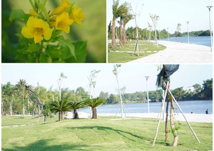 Bán đất nền dự án tại Dự án Khu dân cư An Lộc Phát, Quảng Ngãi, Quảng Ngãi diện tích 100m2 giá 600 Triệu