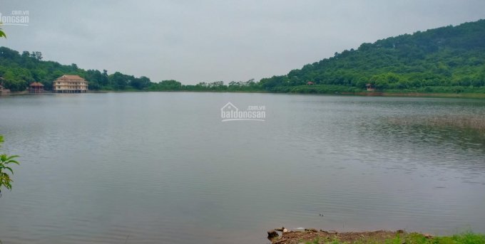 Bán đất Lương Sơn, Hòa Bình làm trang trại nghỉ dưỡng, homestay, view ao, hồ, sông suối.