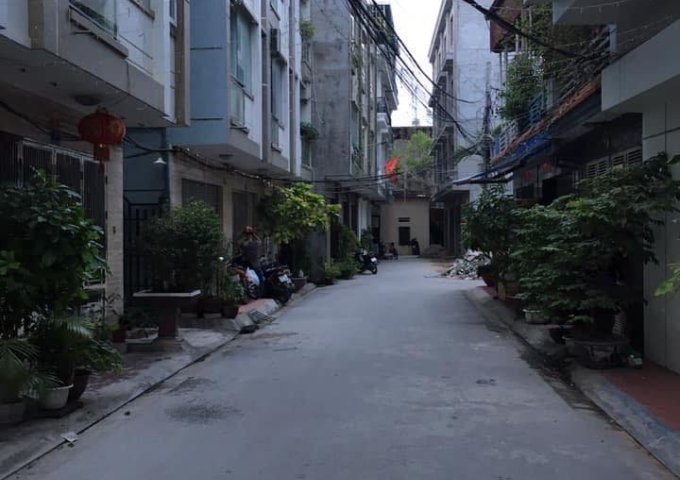 Cho thuê nhà riêng tại Đường Văn Cao, Hải An,  Hải Phòng diện tích 50m2  giá 10 Triệu/tháng