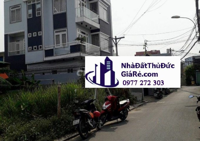 Cho thuê biệt thự đường số 8 – P. Trường Thọ, Quận Thủ Đức