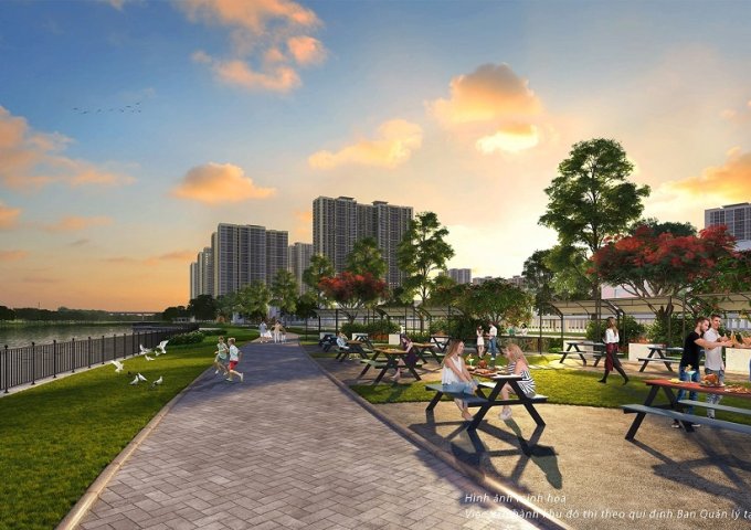 Bán căn biệt thự 125,1m2 dự án Vinhomes Ocean Park Gia Lâm - Hà Nội  