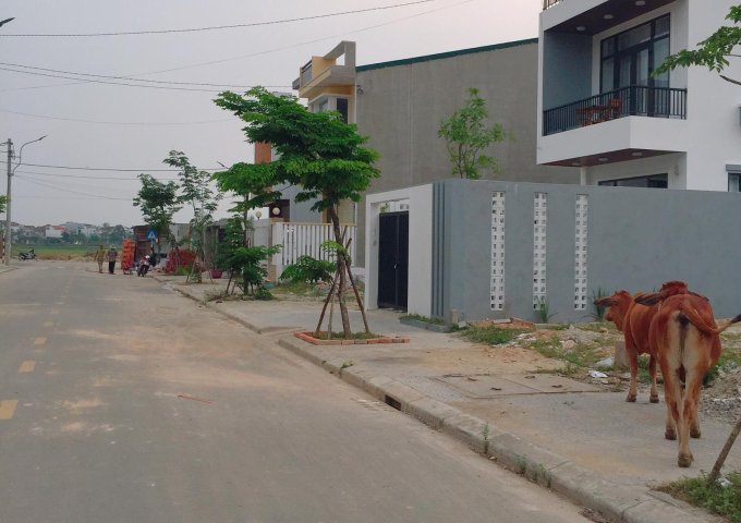 Bán đất Mặt tiền đường 13m5 KQH Bàu vá, Phường Thủy Xuân, TP Huế  