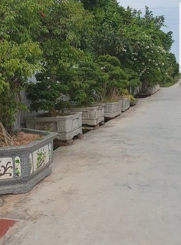 Bán nhà vườn xã Đông Thọ Thành phố Thái Bình.