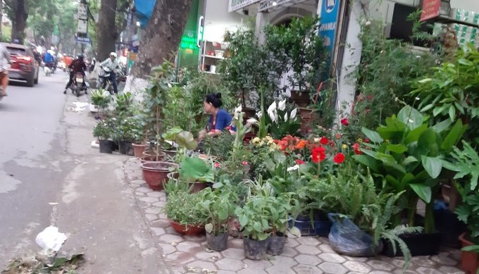 Hà Nội: Nhà hoàng hoa thám KD nhỏ, Quận Ba Đình 40m²