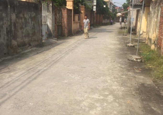 Bán đất thôn Khoan Tế, xã Đa Tốn, Gia Lâm, DT 50m2, MT 4.8m. LH 0343.340.987