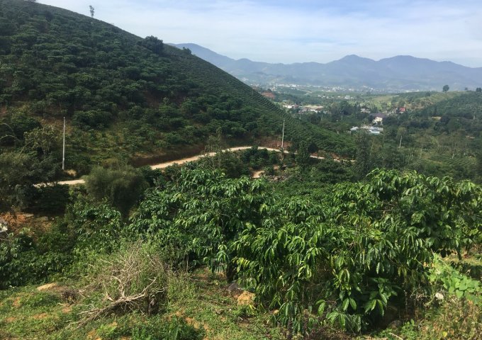 Khu nghỉ dưỡng 13000m2,đường betong 3m view nhìn ra đinh đồi, có đường bê có đường nhỏ betong lên tới đinh đồi.